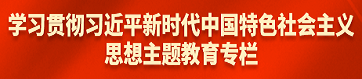 学习贯彻习近平新时代中国特色社会主义思想主题教育